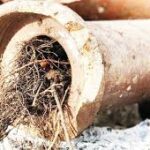 🚽 Welcome to the Big League: You’ve Got a Mainline Sewer Blockage!